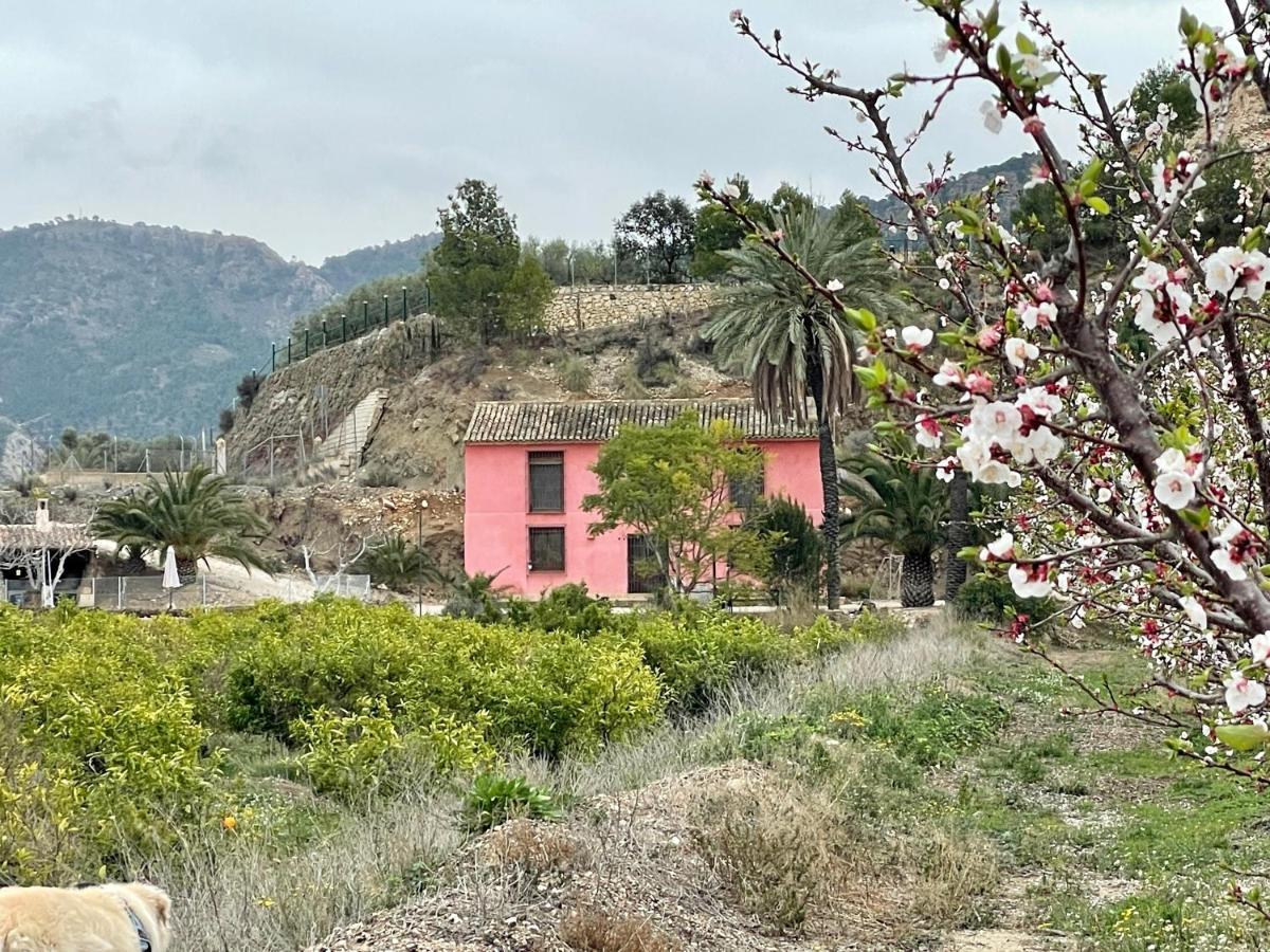 Casa Ramoncico. Finca El Campillo Blanca Exteriér fotografie