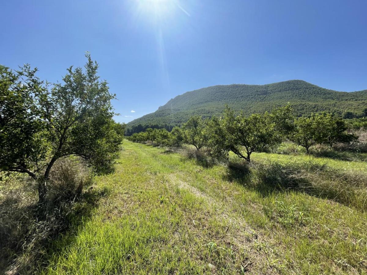 Casa Ramoncico. Finca El Campillo Blanca Exteriér fotografie