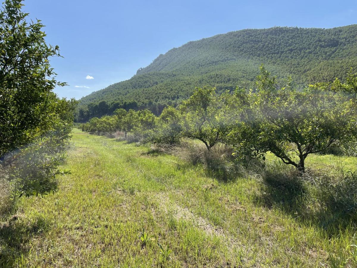 Casa Ramoncico. Finca El Campillo Blanca Exteriér fotografie