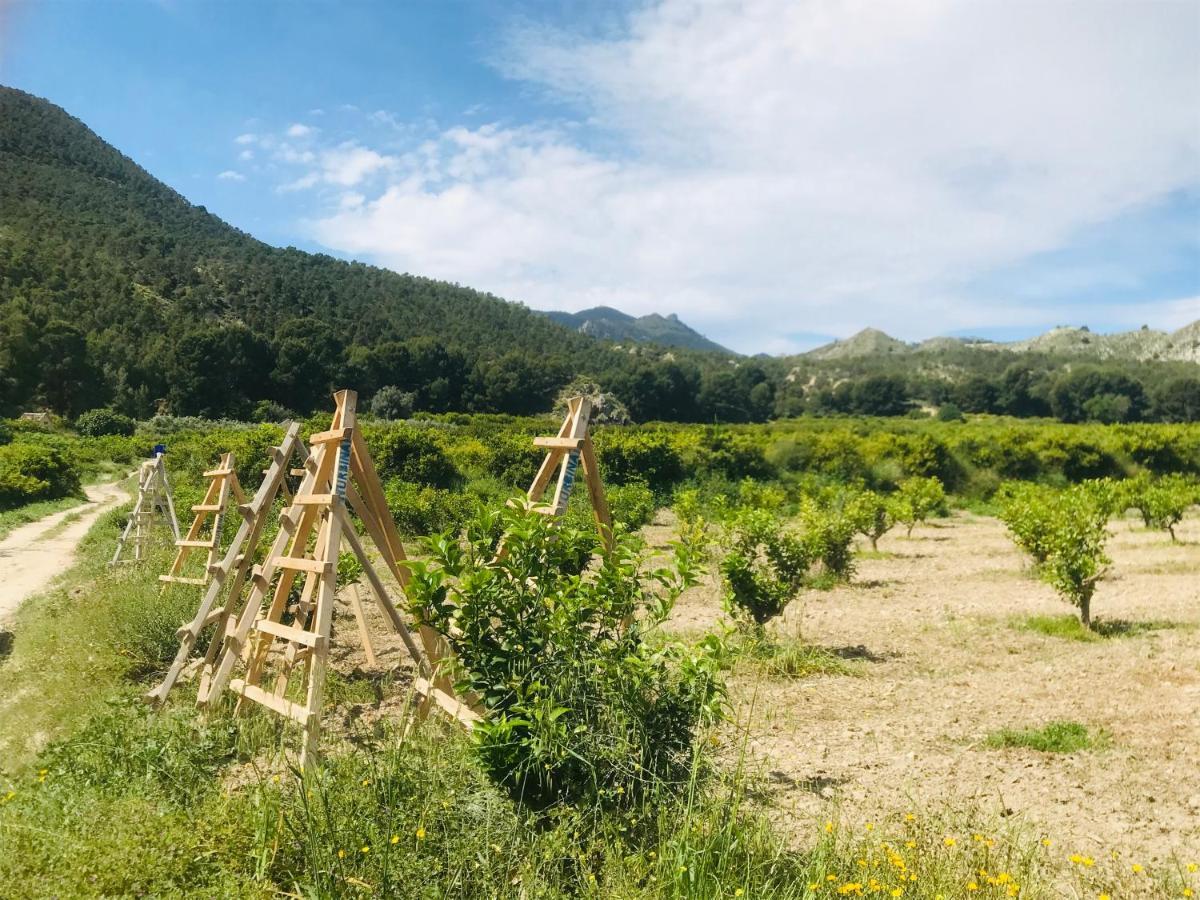Casa Ramoncico. Finca El Campillo Blanca Exteriér fotografie