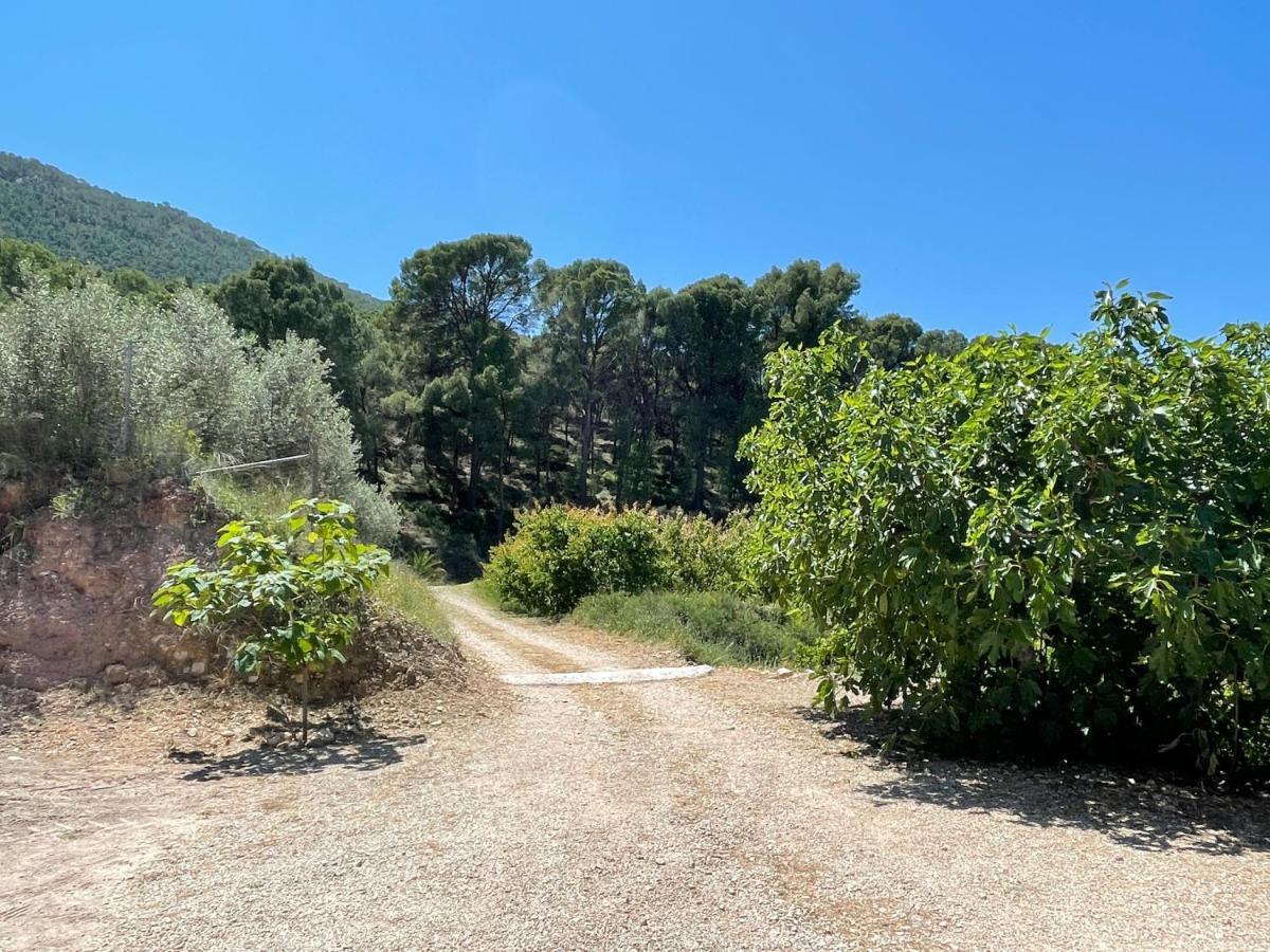 Casa Ramoncico. Finca El Campillo Blanca Exteriér fotografie