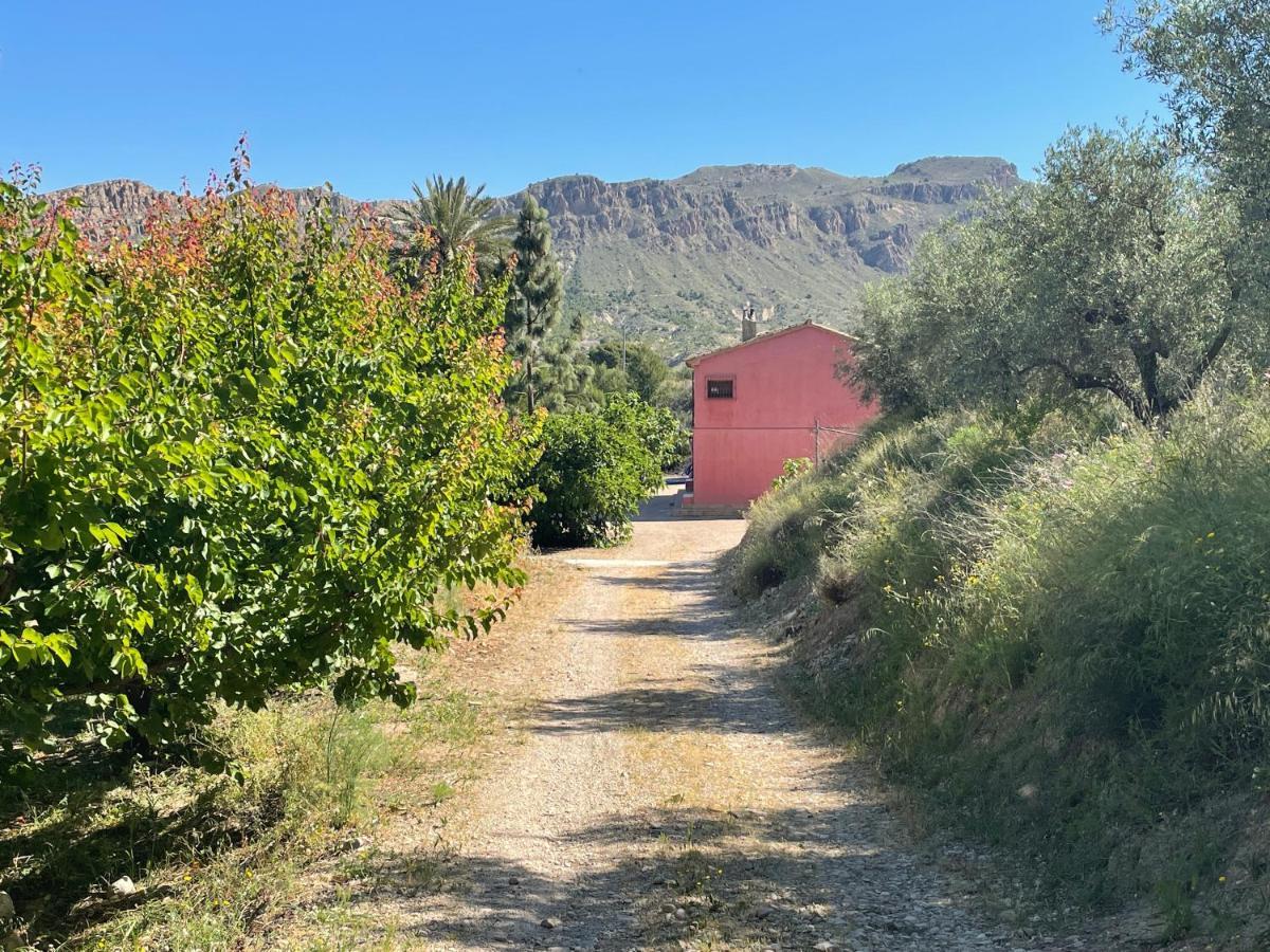 Casa Ramoncico. Finca El Campillo Blanca Exteriér fotografie