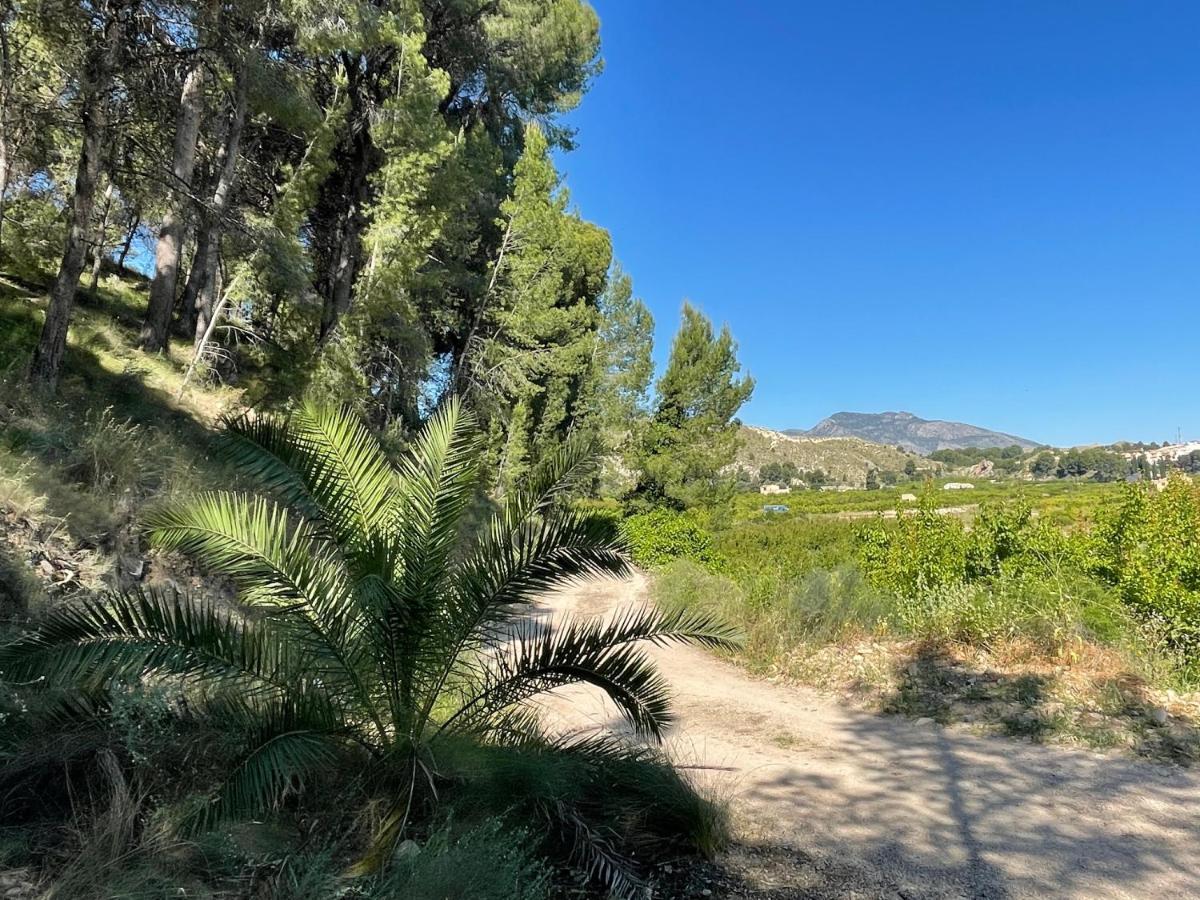 Casa Ramoncico. Finca El Campillo Blanca Exteriér fotografie